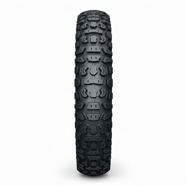 P2009 motorcycle-tires-size-manufacture 2.75-21
