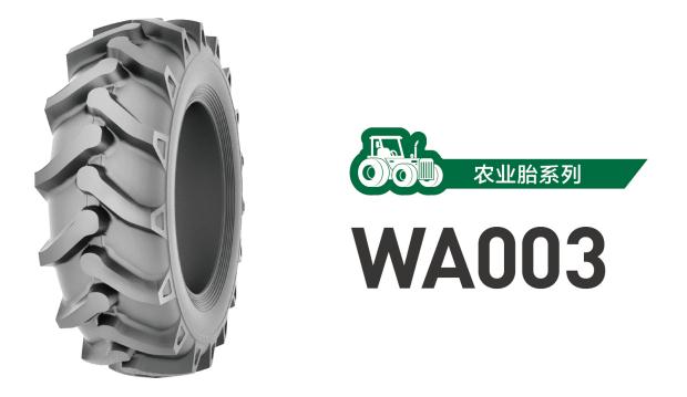 WA003